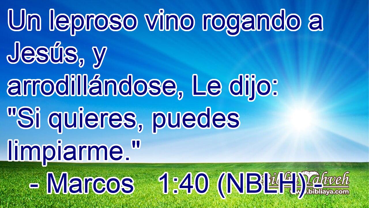  Un leproso vino rogando a Jesús, y arrodillándose, Le dijo: 