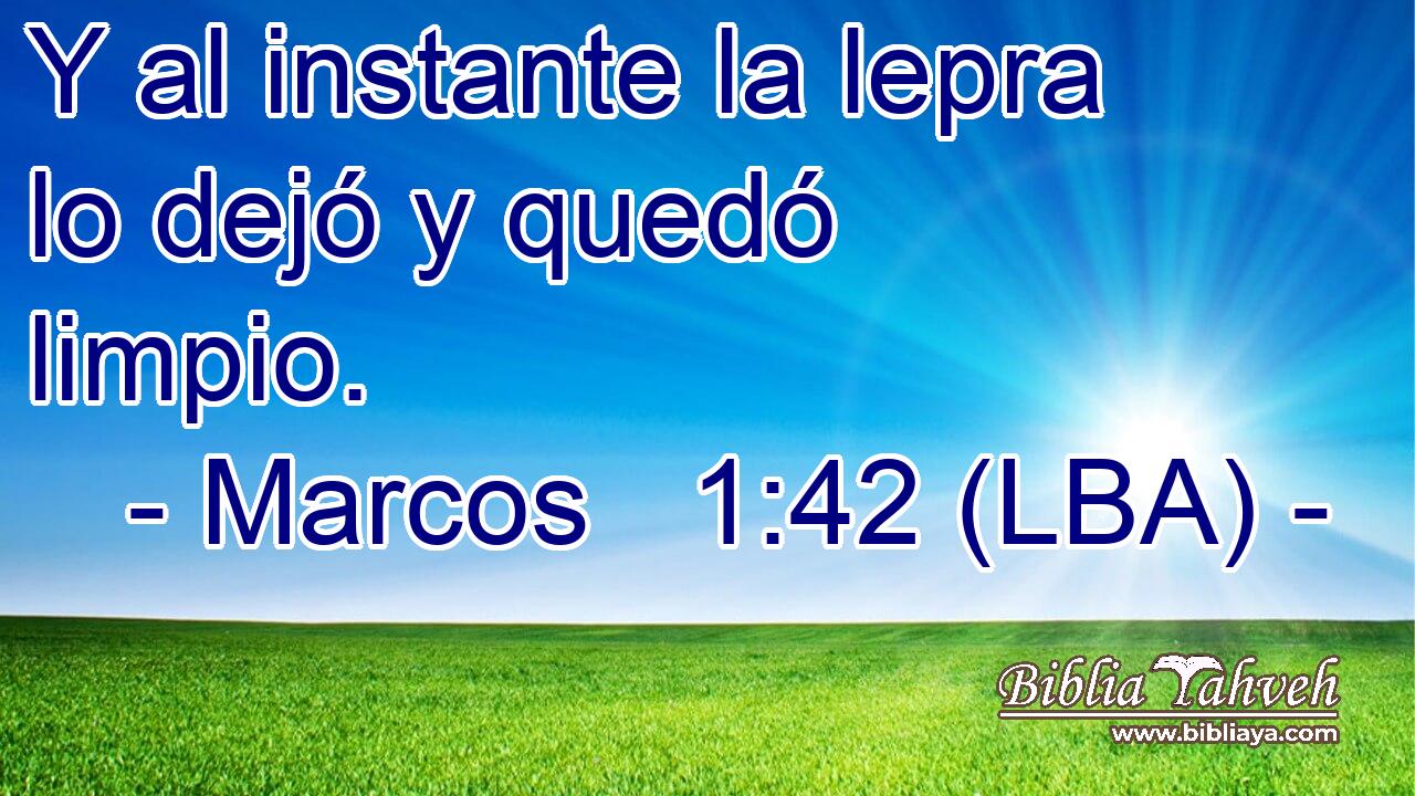 Y al instante la lepra lo dejó y quedó limpio.