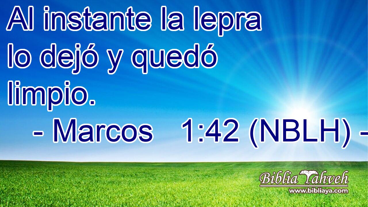  Al instante la lepra lo dejó y quedó limpio. 