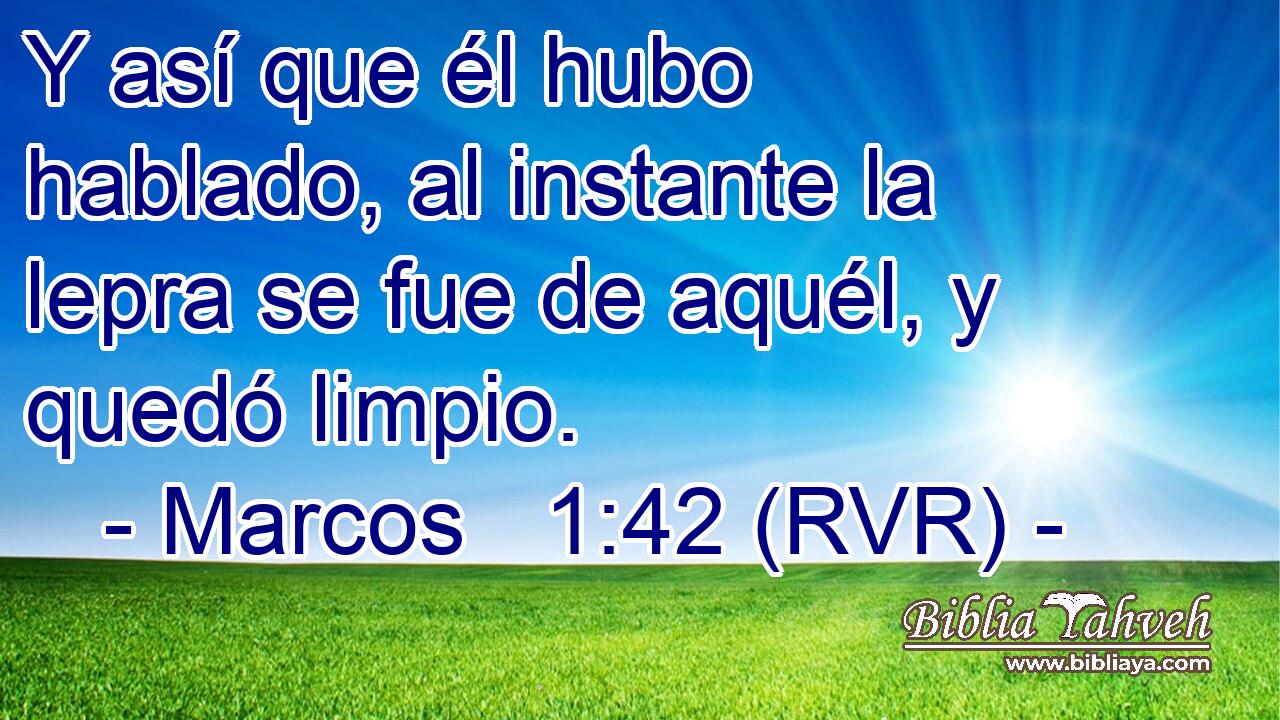 Y así que él hubo hablado, al instante la lepra se fue de aquél, y quedó limpio.