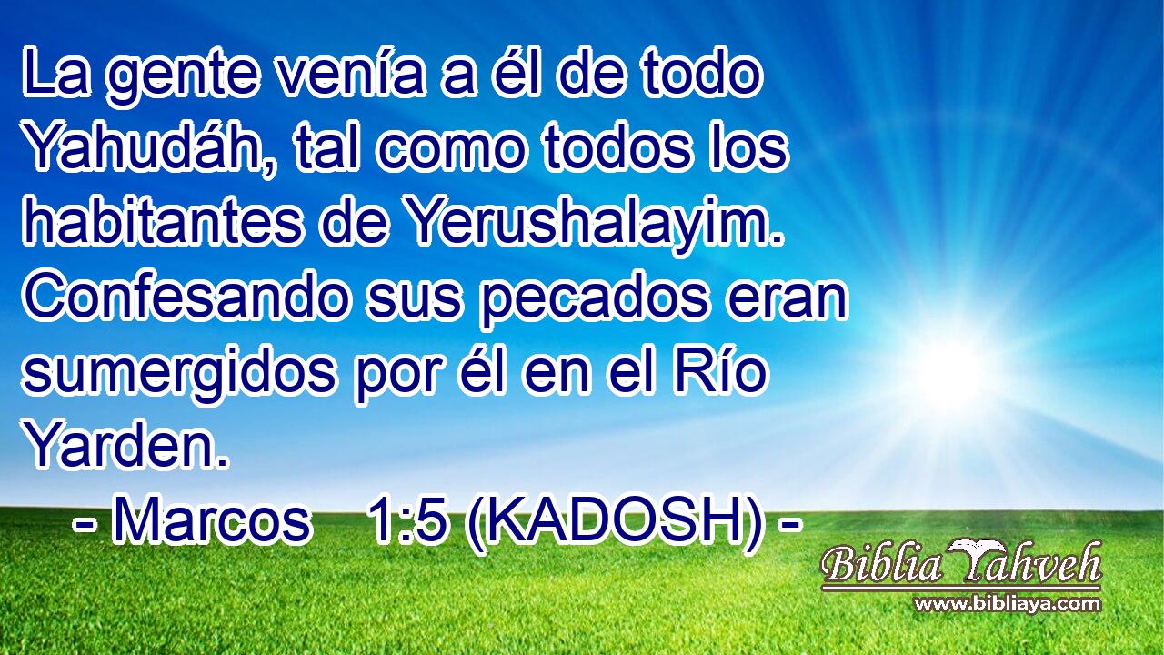  La gente venía a él de todo Yahudáh, tal como todos los habitantes de Yerushalayim. Confesando sus pecados eran sumergidos por él en el Río Yarden. 