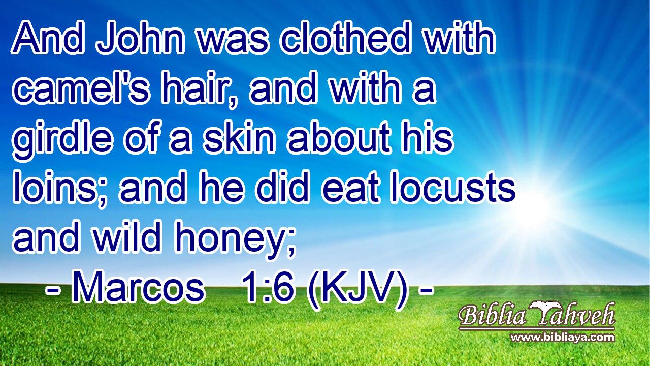 And John was clothed with camel's hair, and with a girdle of a skin about his loins; and he did eat locusts and wild honey;