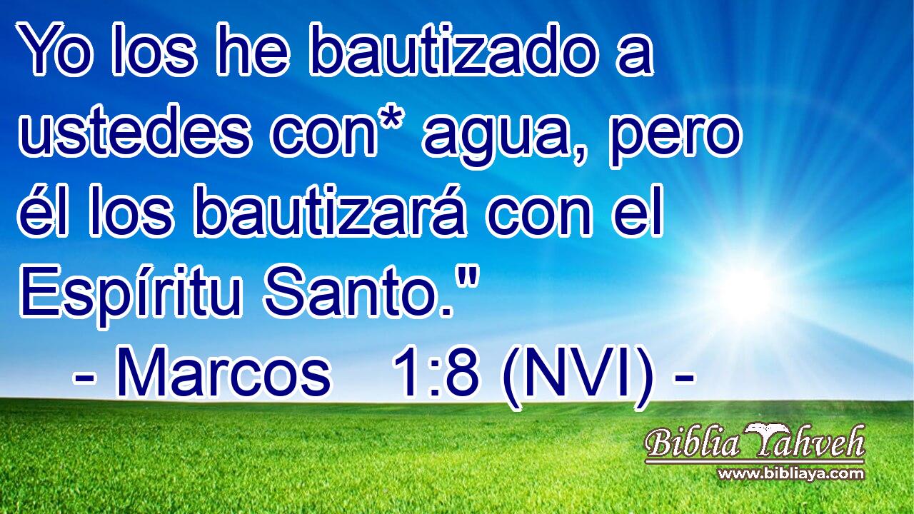  Yo los he bautizado a ustedes con* agua, pero él los bautizará con el Espíritu Santo.