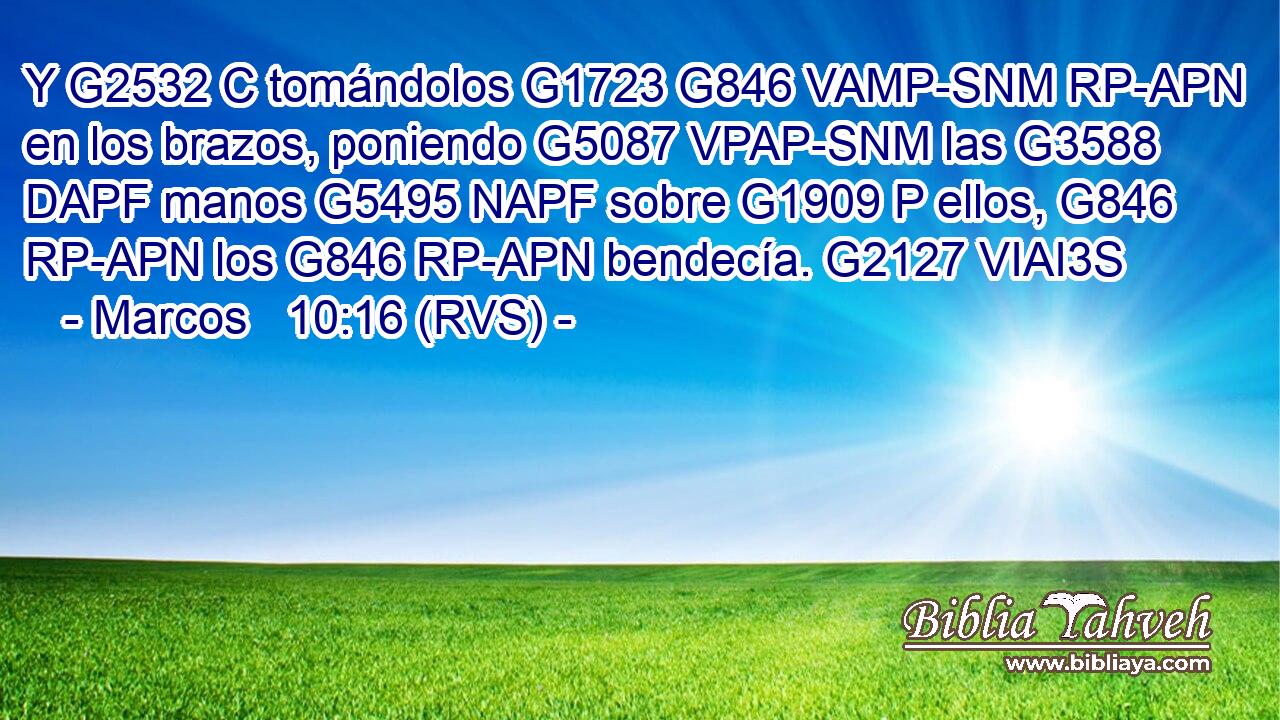 Y G2532 C tomándolos G1723 G846 VAMP-SNM RP-APN en los brazos, poniendo G5087 VPAP-SNM las G3588 DAPF manos G5495 NAPF sobre G1909 P ellos, G846 RP-APN los G846 RP-APN bendecía. G2127 VIAI3S 