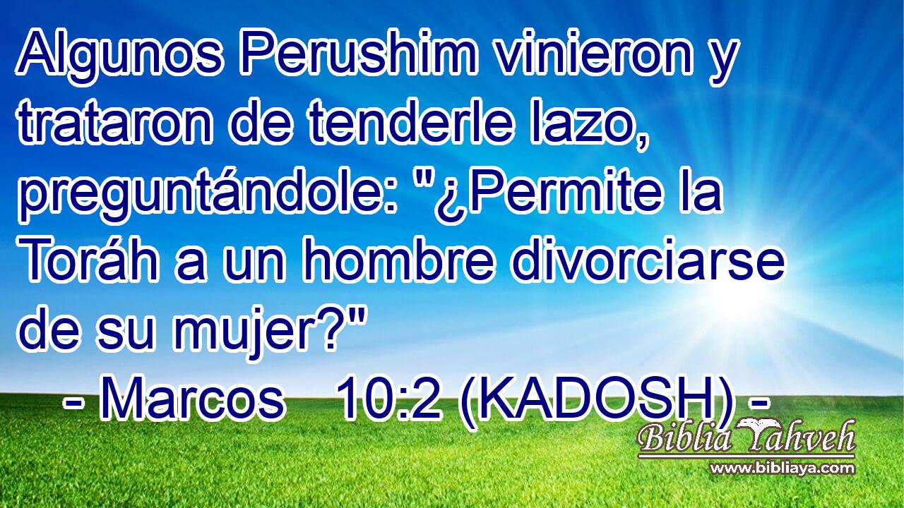  Algunos Perushim vinieron y trataron de tenderle lazo, preguntándole: 