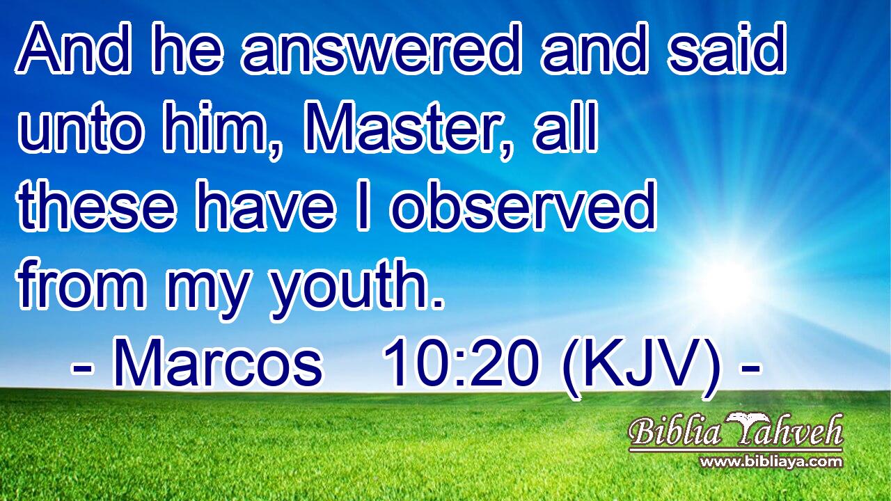 And he answered and said unto him, Master, all these have I observed from my youth.