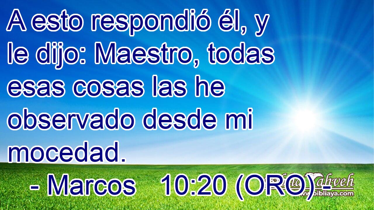  A esto respondió él, y le dijo: Maestro, todas esas cosas las he observado desde mi mocedad. 