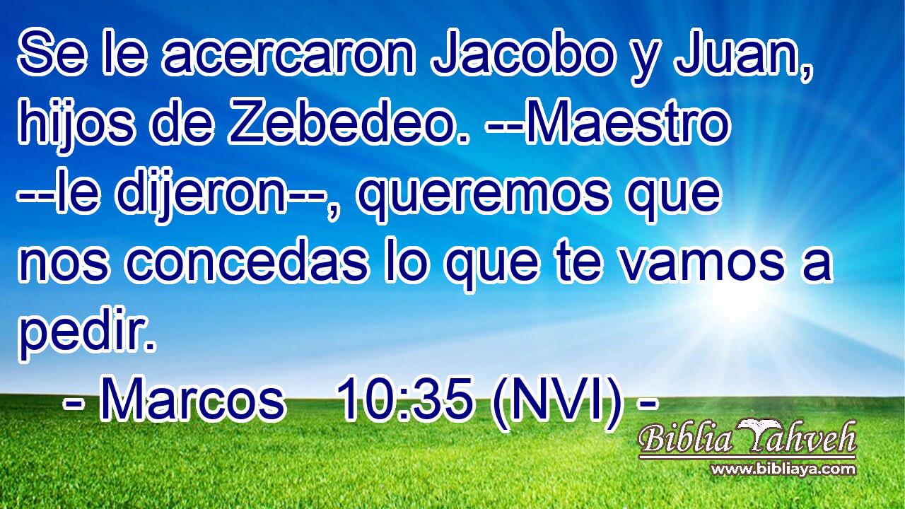  Se le acercaron Jacobo y Juan, hijos de Zebedeo. --Maestro --le dijeron--, queremos que nos concedas lo que te vamos a pedir. 
