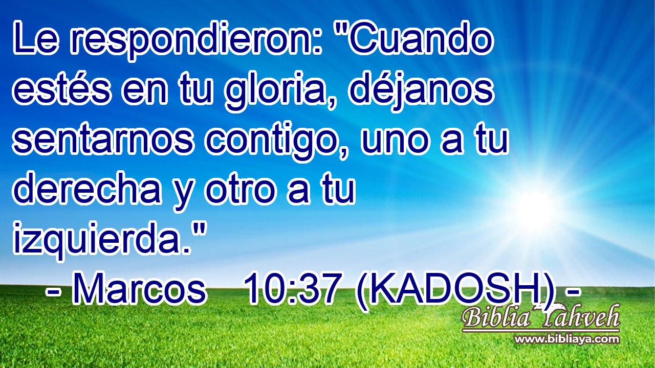  Le respondieron: 