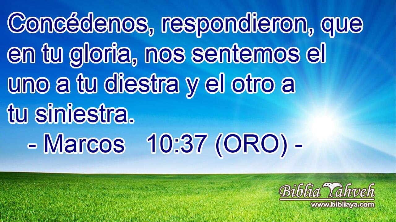  Concédenos, respondieron, que en tu gloria, nos sentemos el uno a tu diestra y el otro a tu siniestra. 