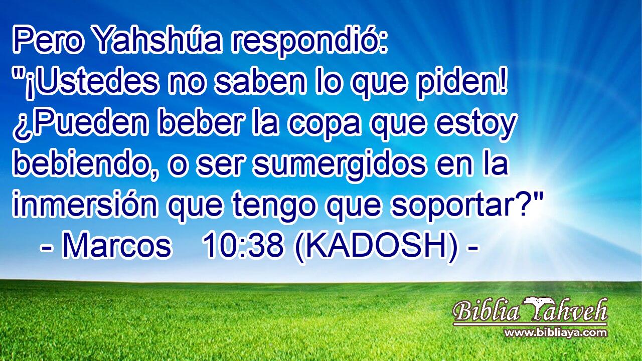  Pero Yahshúa respondió: 