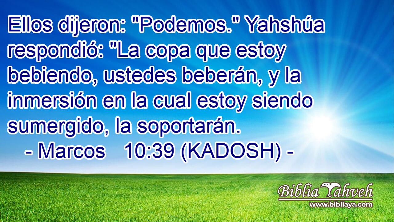  Ellos dijeron: 