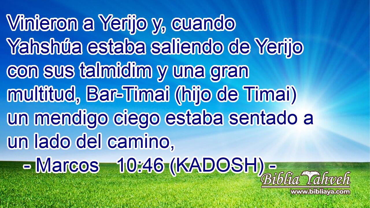  Vinieron a Yerijo y, cuando Yahshúa estaba saliendo de Yerijo con sus talmidim y una gran multitud, Bar-Timai (hijo de Timai) un mendigo ciego estaba sentado a un lado del camino, 