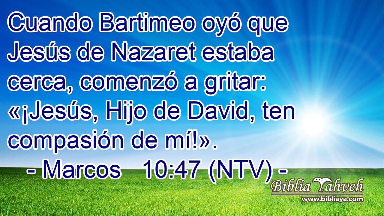 Cuando Bartimeo oyó que Jesús de Nazaret estaba cerca, comenzó a gritar: «¡Jesús, Hijo de David, ten compasión de mí!».