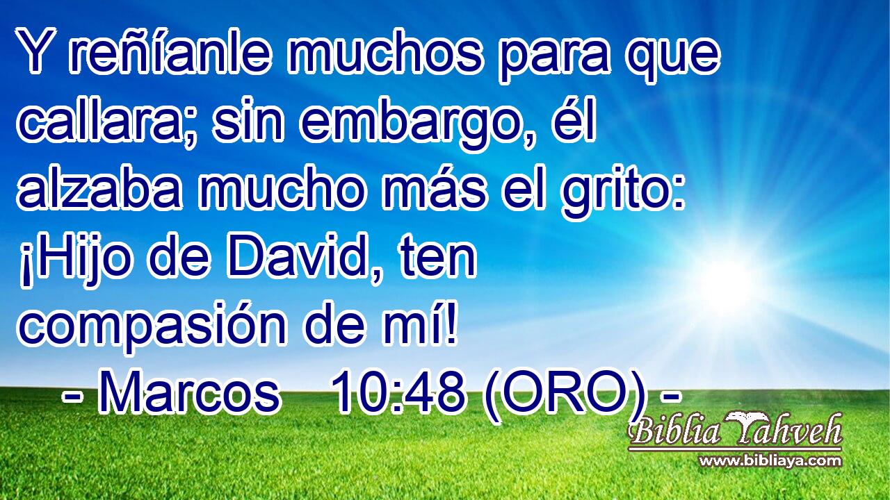  Y reñíanle muchos para que callara; sin embargo, él alzaba mucho más el grito: ¡Hijo de David, ten compasión de mí! 