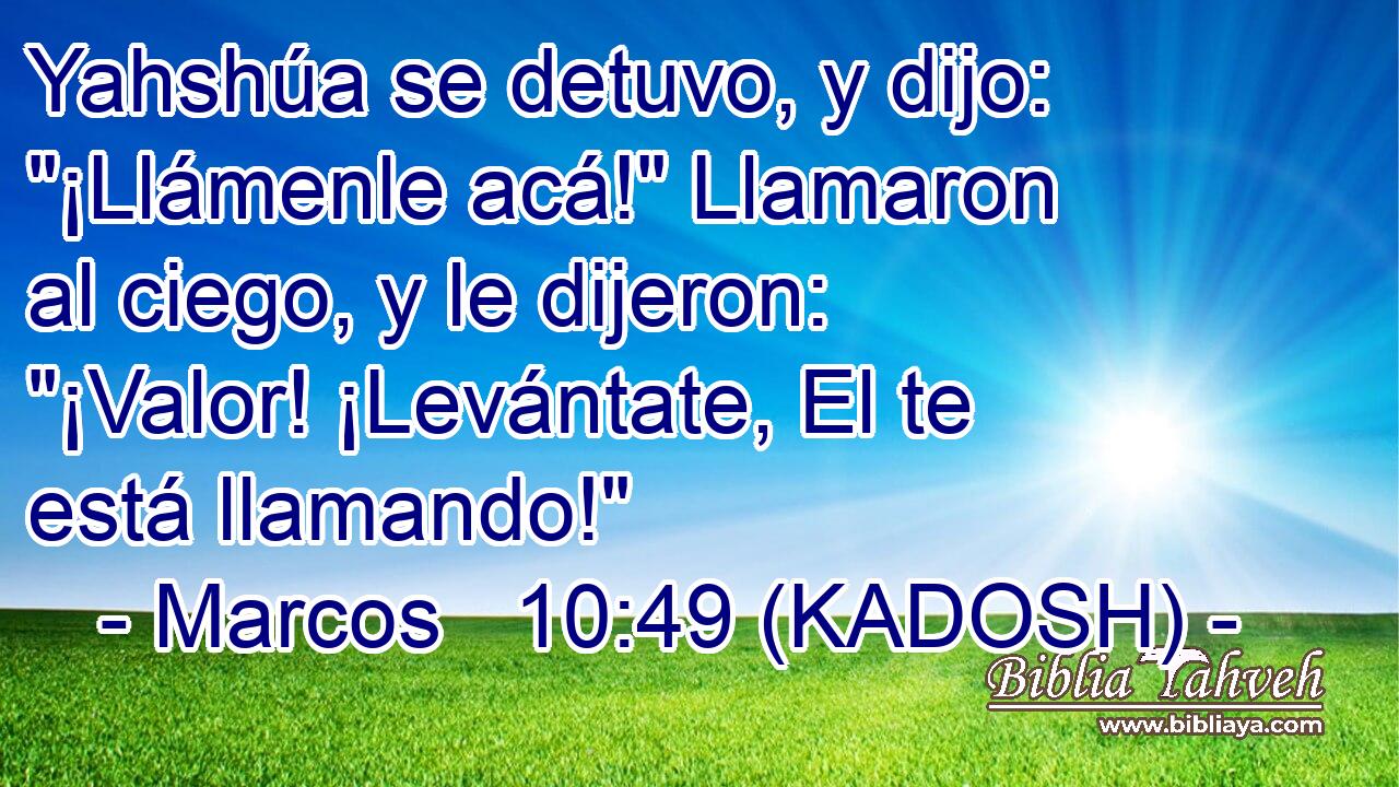  Yahshúa se detuvo, y dijo: 