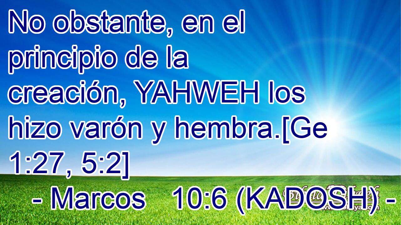  No obstante, en el principio de la creación, YAHWEH los hizo varón y hembra.[Ge 1:27, 5:2] 