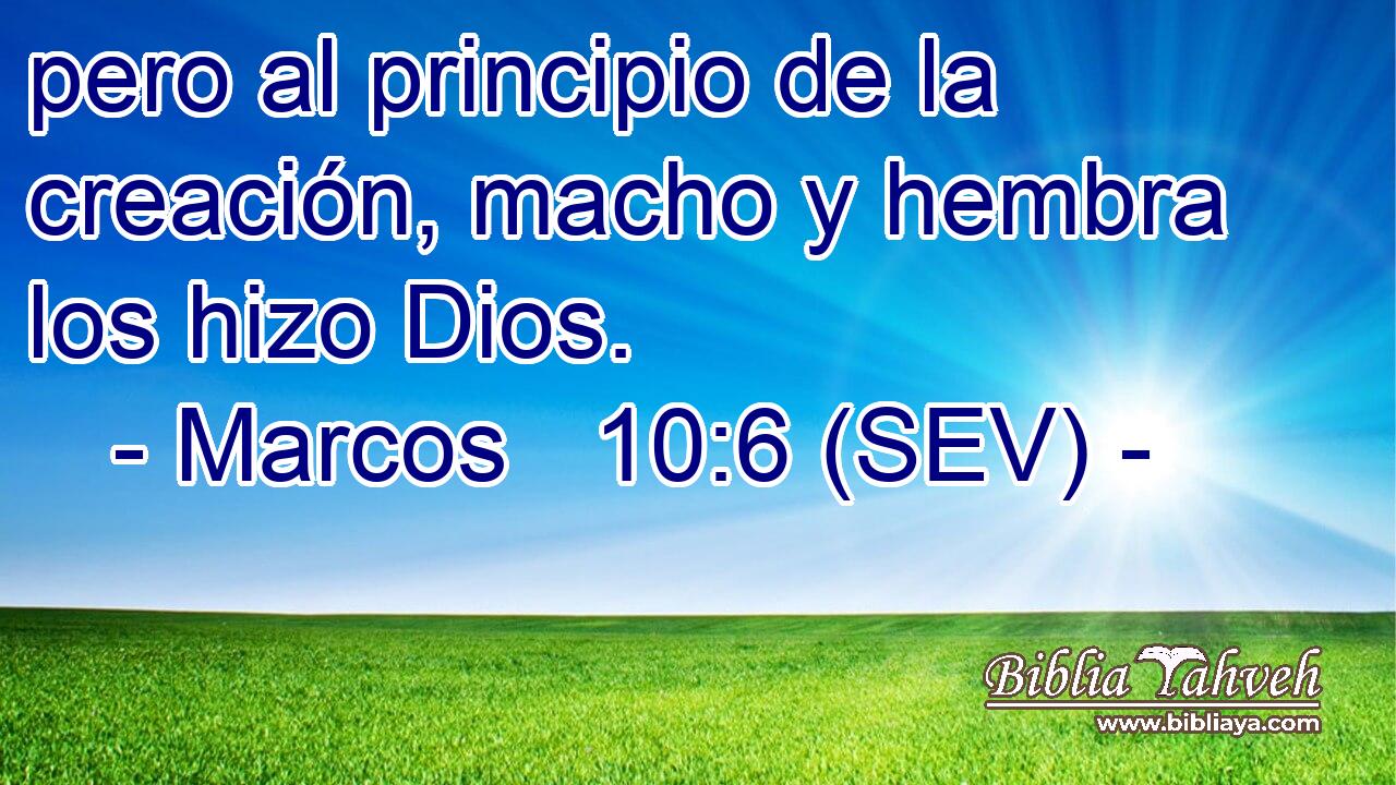 pero al principio de la creación, macho y hembra los hizo Dios.