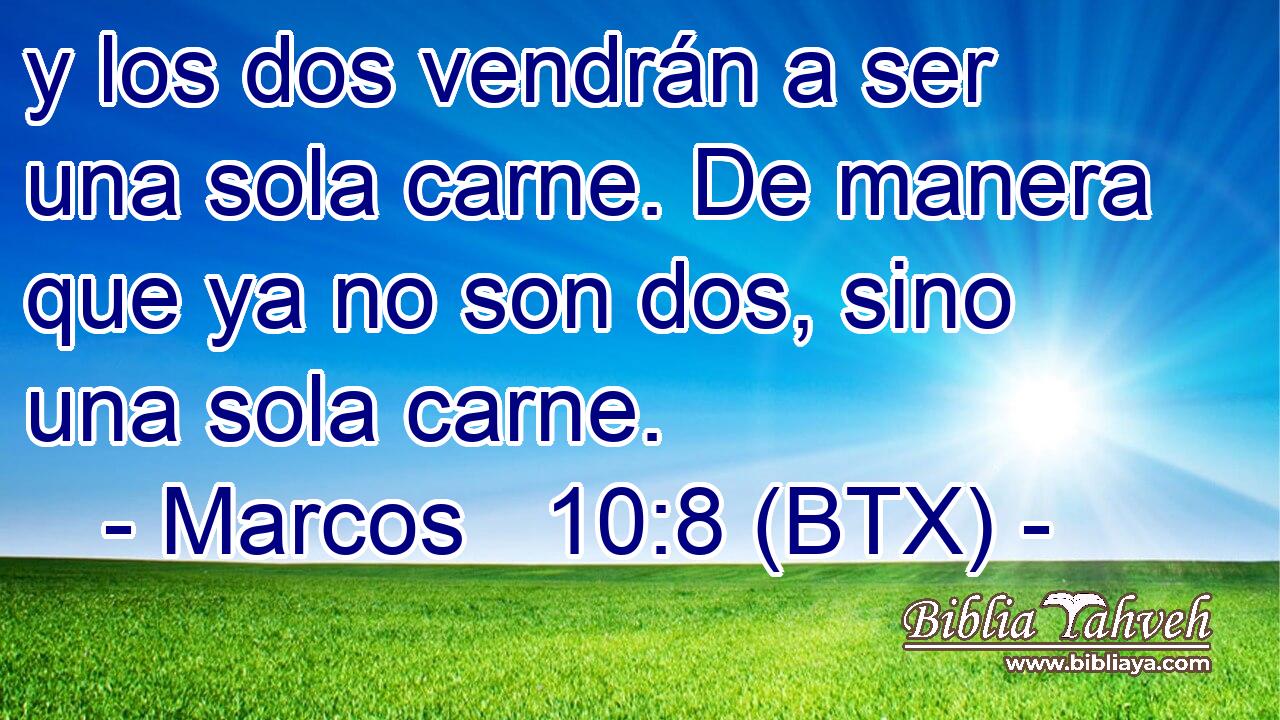 y los dos vendrán a ser una sola carne. De manera que ya no son dos, sino una sola carne.