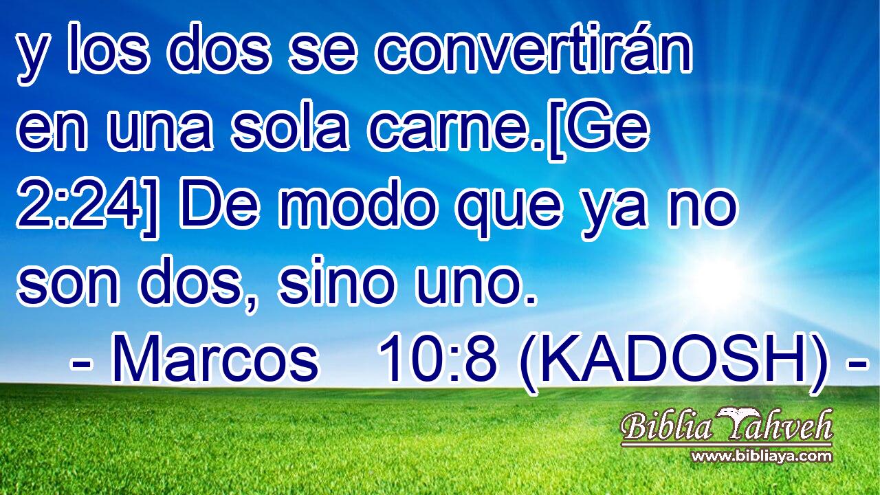  y los dos se convertirán en una sola carne.[Ge 2:24] De modo que ya no son dos, sino uno. 