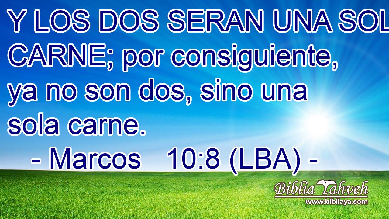 Y LOS DOS SERAN UNA SOLA CARNE; por consiguiente, ya no son dos, sino una sola carne.