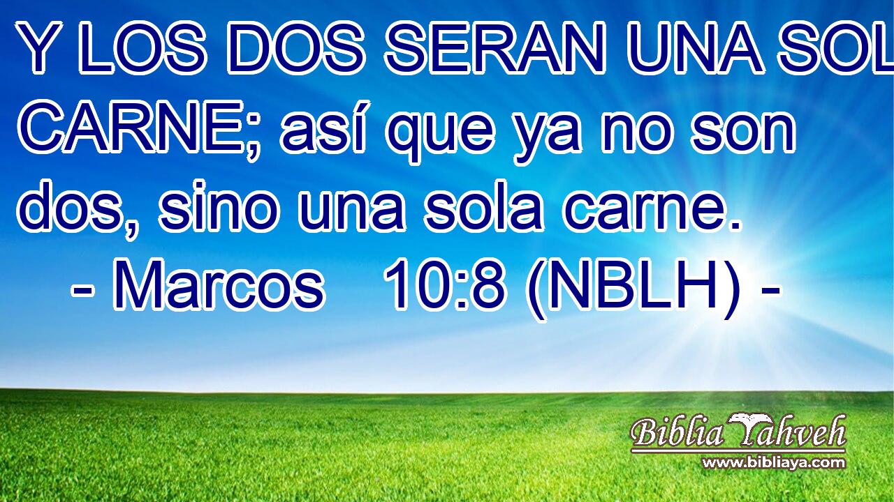  Y LOS DOS SERAN UNA SOLA CARNE; así que ya no son dos, sino una sola carne. 