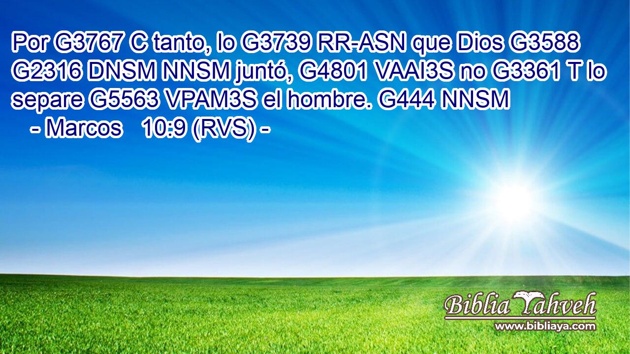 Por G3767 C tanto, lo G3739 RR-ASN que Dios G3588 G2316 DNSM NNSM juntó, G4801 VAAI3S no G3361 T lo separe G5563 VPAM3S el hombre. G444 NNSM 