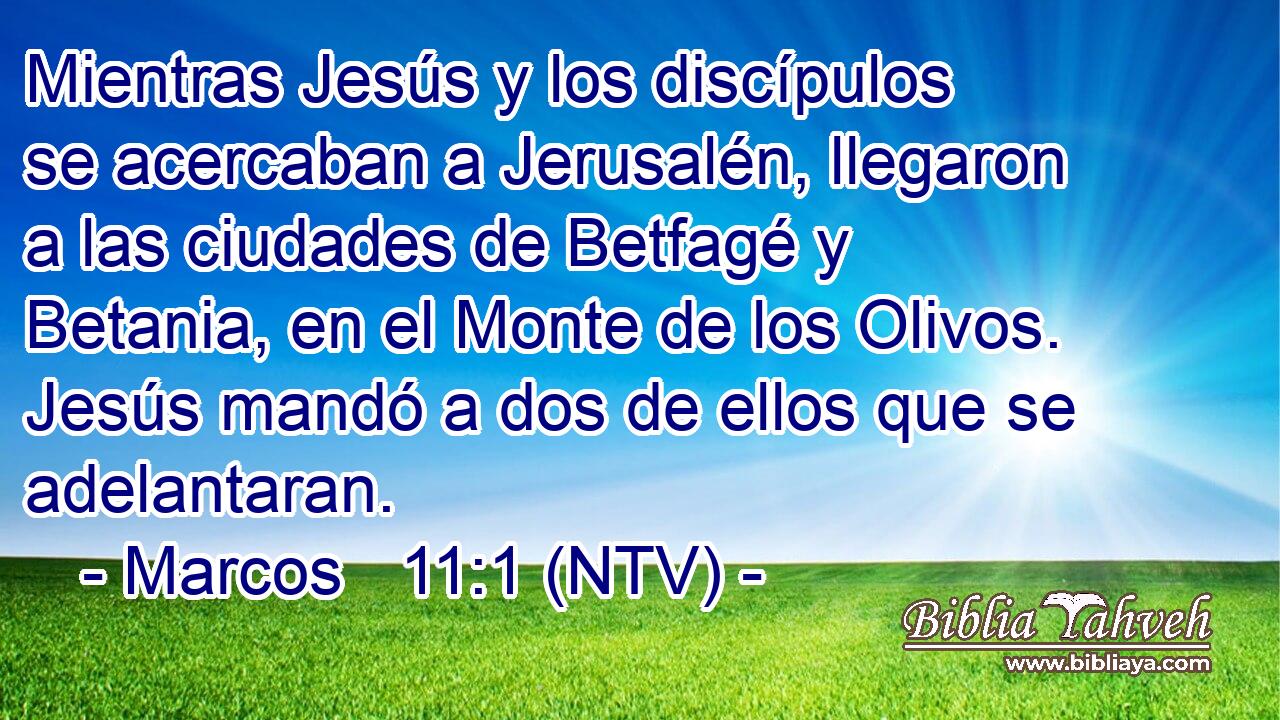 Mientras Jesús y los discípulos se acercaban a Jerusalén, llegaron a las ciudades de Betfagé y Betania, en el Monte de los Olivos. Jesús mandó a dos de ellos que se adelantaran.