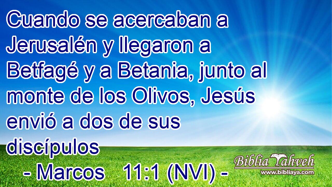  Cuando se acercaban a Jerusalén y llegaron a Betfagé y a Betania, junto al monte de los Olivos, Jesús envió a dos de sus discípulos 