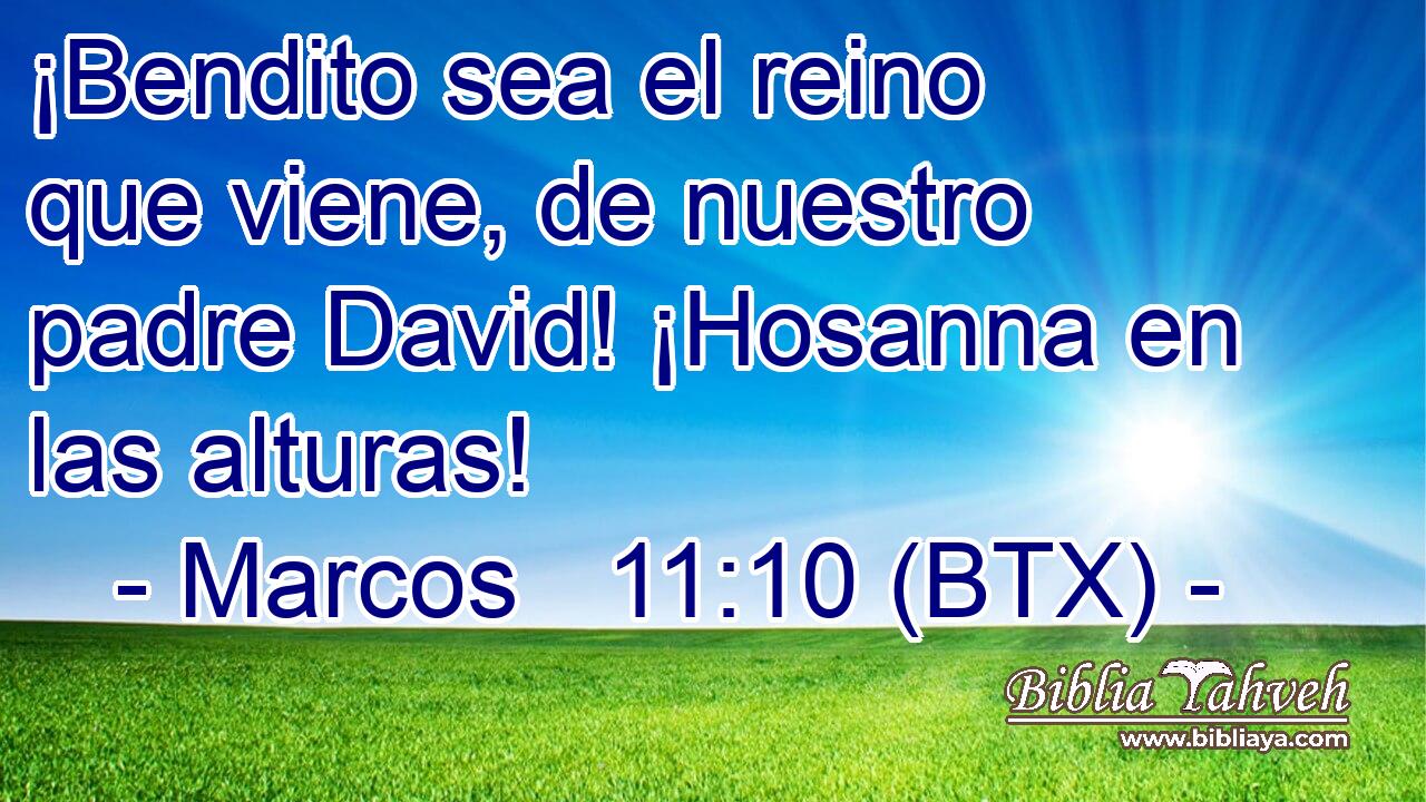 ¡Bendito sea el reino que viene, de nuestro padre David! ¡Hosanna en las alturas!