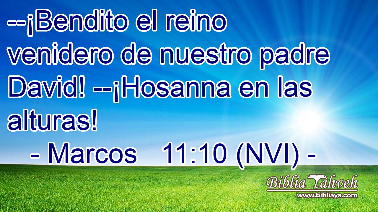  --¡Bendito el reino venidero de nuestro padre David! --¡Hosanna en las alturas! 