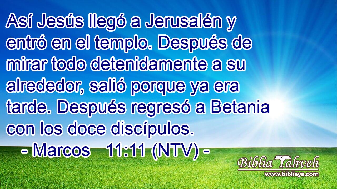 Así Jesús llegó a Jerusalén y entró en el templo. Después de mirar todo detenidamente a su alrededor, salió porque ya era tarde. Después regresó a Betania con los doce discípulos.