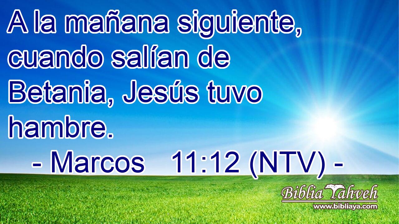 A la mañana siguiente, cuando salían de Betania, Jesús tuvo hambre.