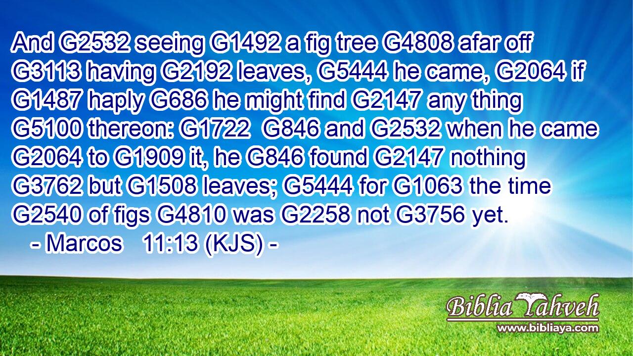 And G2532 seeing G1492 a fig tree G4808 afar off G3113 having G2192 leaves, G5444 he came, G2064 if G1487 haply G686 he might find G2147 any thing G5100 thereon: G1722  G846 and G2532 when he came G2064 to G1909 it, he G846 found G2147 nothing G3762 but G1508 leaves; G5444 for G1063 the time G2540 of figs G4810 was G2258 not G3756 yet.