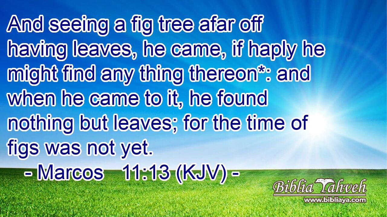 And seeing a fig tree afar off having leaves, he came, if haply he might find any thing thereon*: and when he came to it, he found nothing but leaves; for the time of figs was not yet.