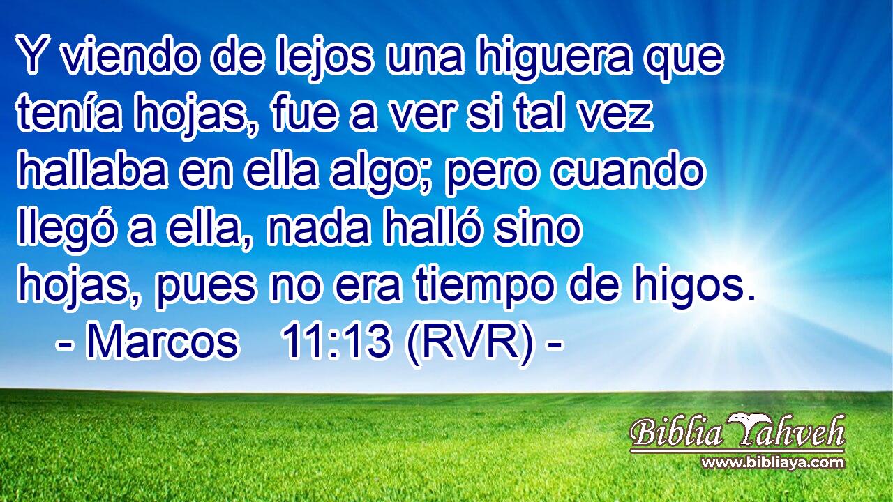 Y viendo de lejos una higuera que tenía hojas, fue a ver si tal vez hallaba en ella algo; pero cuando llegó a ella, nada halló sino hojas, pues no era tiempo de higos.