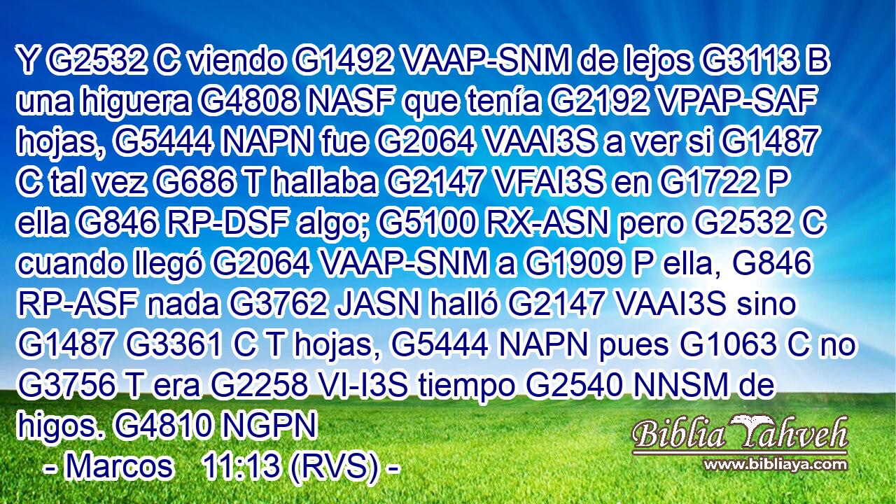 Y G2532 C viendo G1492 VAAP-SNM de lejos G3113 B una higuera G4808 NASF que tenía G2192 VPAP-SAF hojas, G5444 NAPN fue G2064 VAAI3S a ver si G1487 C tal vez G686 T hallaba G2147 VFAI3S en G1722 P ella G846 RP-DSF algo; G5100 RX-ASN pero G2532 C cuando llegó G2064 VAAP-SNM a G1909 P ella, G846 RP-ASF nada G3762 JASN halló G2147 VAAI3S sino G1487 G3361 C T hojas, G5444 NAPN pues G1063 C no G3756 T era G2258 VI-I3S tiempo G2540 NNSM de higos. G4810 NGPN 