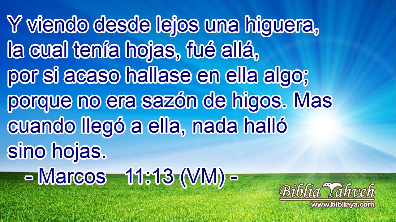  Y viendo desde lejos una higuera, la cual tenía hojas, fué allá, por si acaso hallase en ella algo; porque no era sazón de higos. Mas cuando llegó a ella, nada halló sino hojas. 