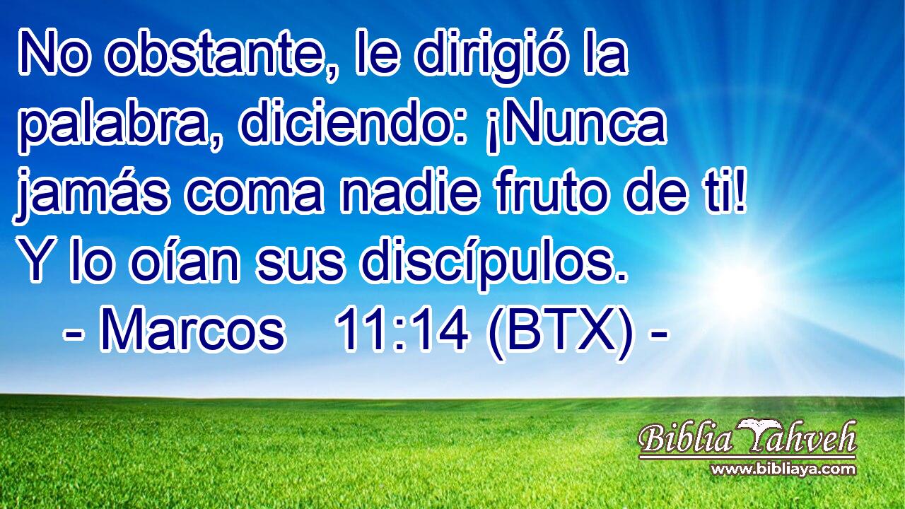 No obstante, le dirigió la palabra, diciendo: ¡Nunca jamás coma nadie fruto de ti! Y lo oían sus discípulos.