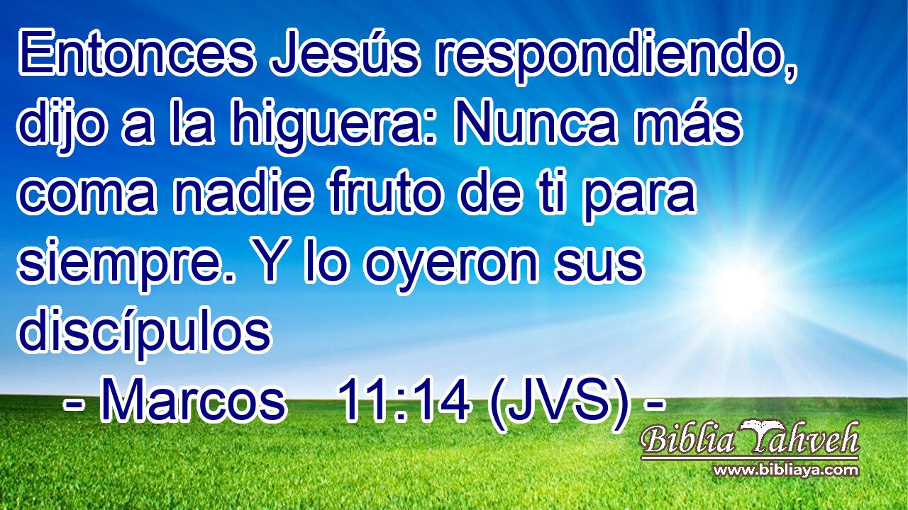 Entonces Jesús respondiendo, dijo a la higuera: Nunca más coma nadie fruto de ti para siempre. Y lo oyeron sus discípulos