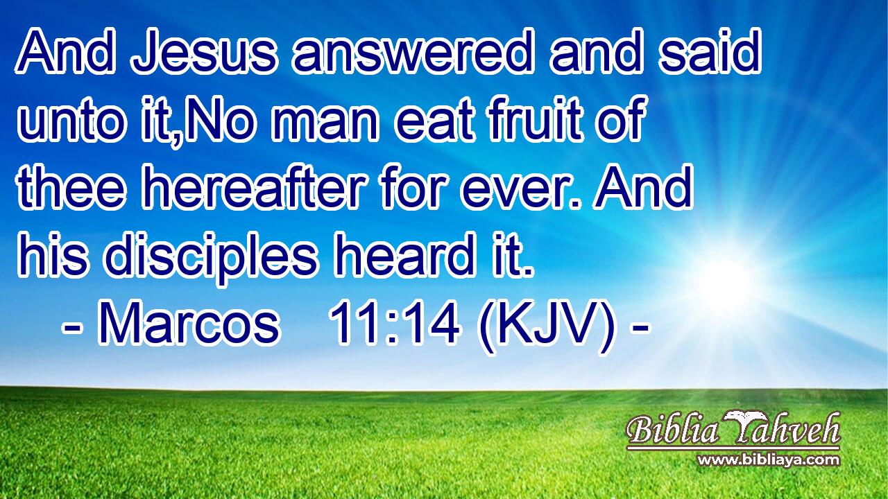 And Jesus answered and said unto it,No man eat fruit of thee hereafter for ever. And his disciples heard it.