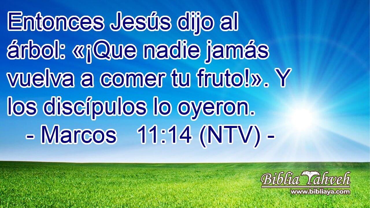 Entonces Jesús dijo al árbol: «¡Que nadie jamás vuelva a comer tu fruto!». Y los discípulos lo oyeron.