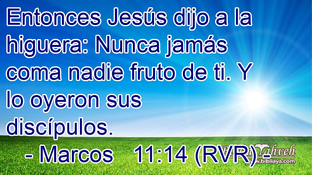 Entonces Jesús dijo a la higuera: Nunca jamás coma nadie fruto de ti. Y lo oyeron sus discípulos.