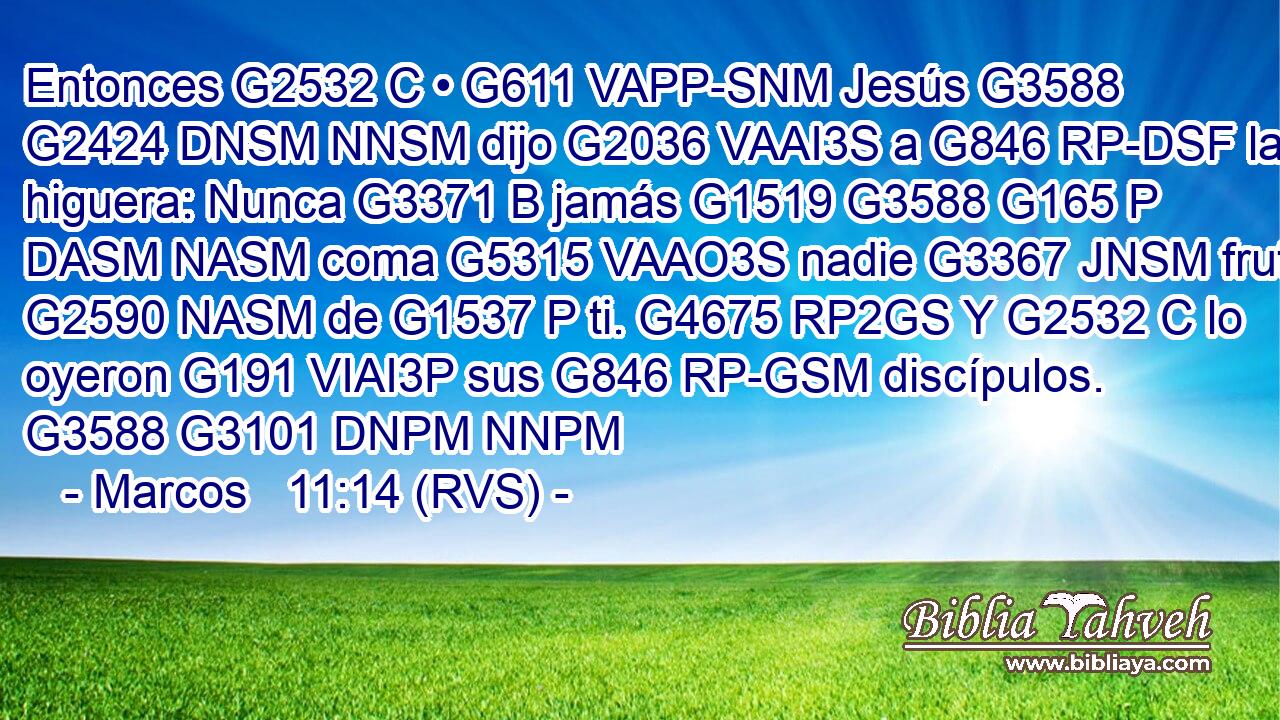 Entonces G2532 C • G611 VAPP-SNM Jesús G3588 G2424 DNSM NNSM dijo G2036 VAAI3S a G846 RP-DSF la higuera: Nunca G3371 B jamás G1519 G3588 G165 P DASM NASM coma G5315 VAAO3S nadie G3367 JNSM fruto G2590 NASM de G1537 P ti. G4675 RP2GS Y G2532 C lo oyeron G191 VIAI3P sus G846 RP-GSM discípulos. G3588 G3101 DNPM NNPM 