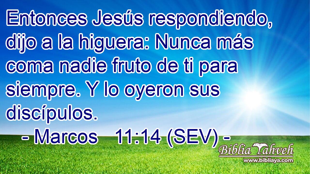 Entonces Jesús respondiendo, dijo a la higuera: Nunca más coma nadie fruto de ti para siempre. Y lo oyeron sus discípulos.