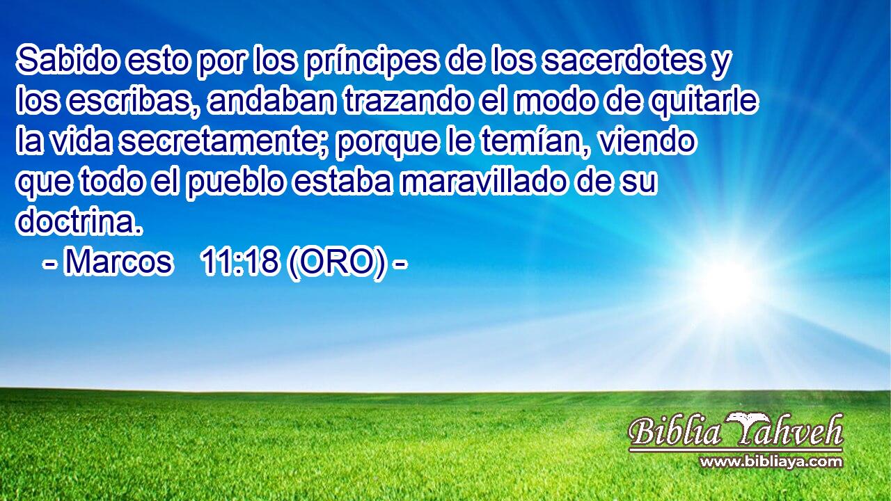  Sabido esto por los príncipes de los sacerdotes y los escribas, andaban trazando el modo de quitarle la vida secretamente; porque le temían, viendo que todo el pueblo estaba maravillado de su doctrina. 