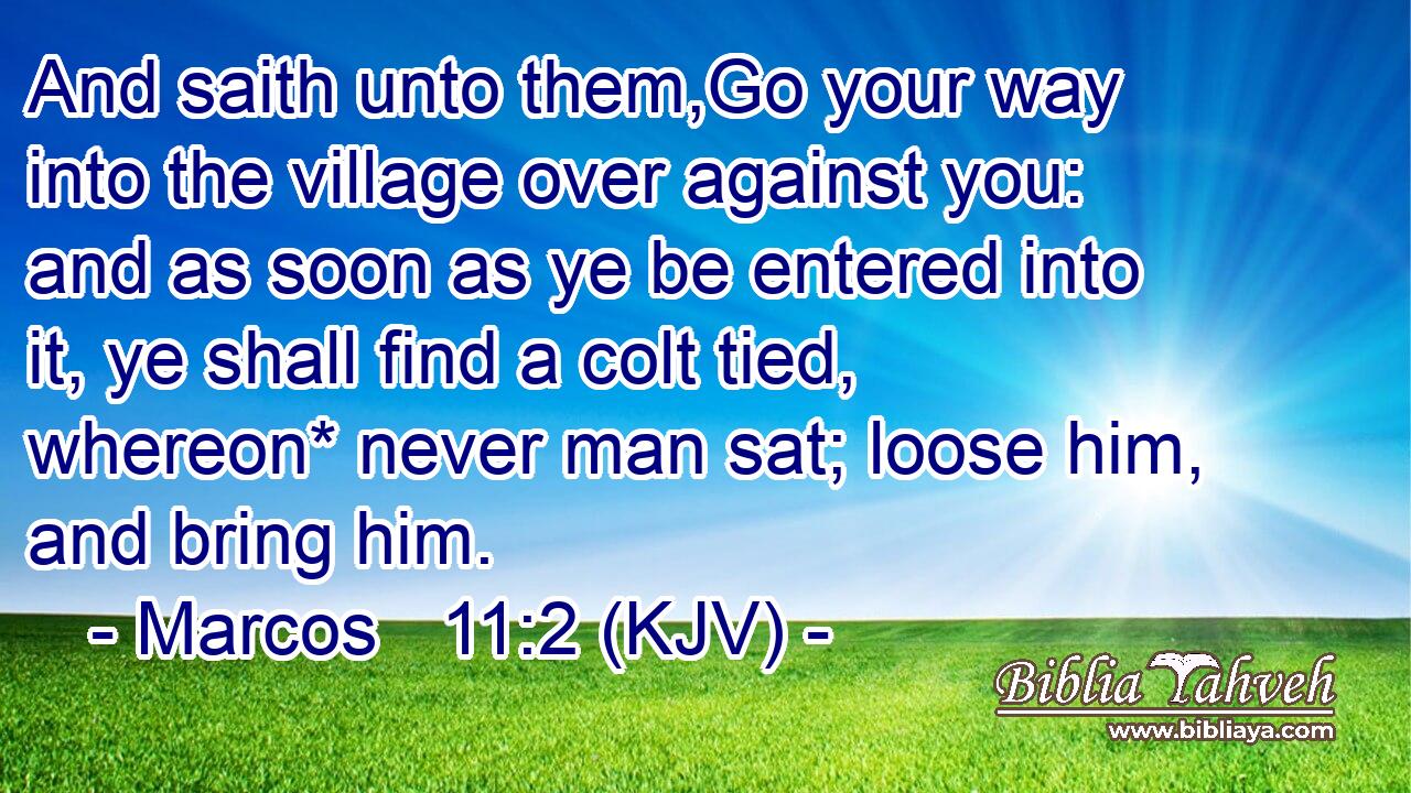 And saith unto them,Go your way into the village over against you: and as soon as ye be entered into it, ye shall find a colt tied, whereon* never man sat; loose him, and bring him.