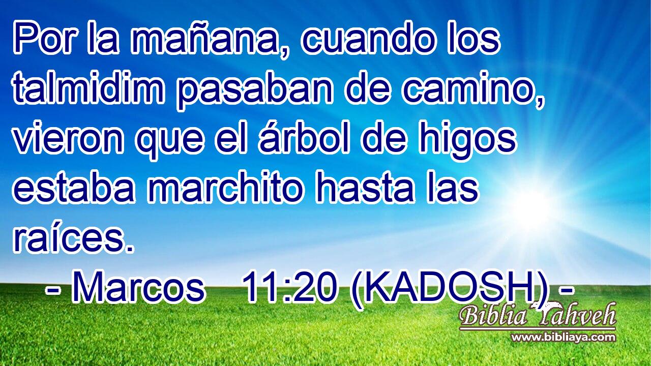  Por la mañana, cuando los talmidim pasaban de camino, vieron que el árbol de higos estaba marchito hasta las raíces. 