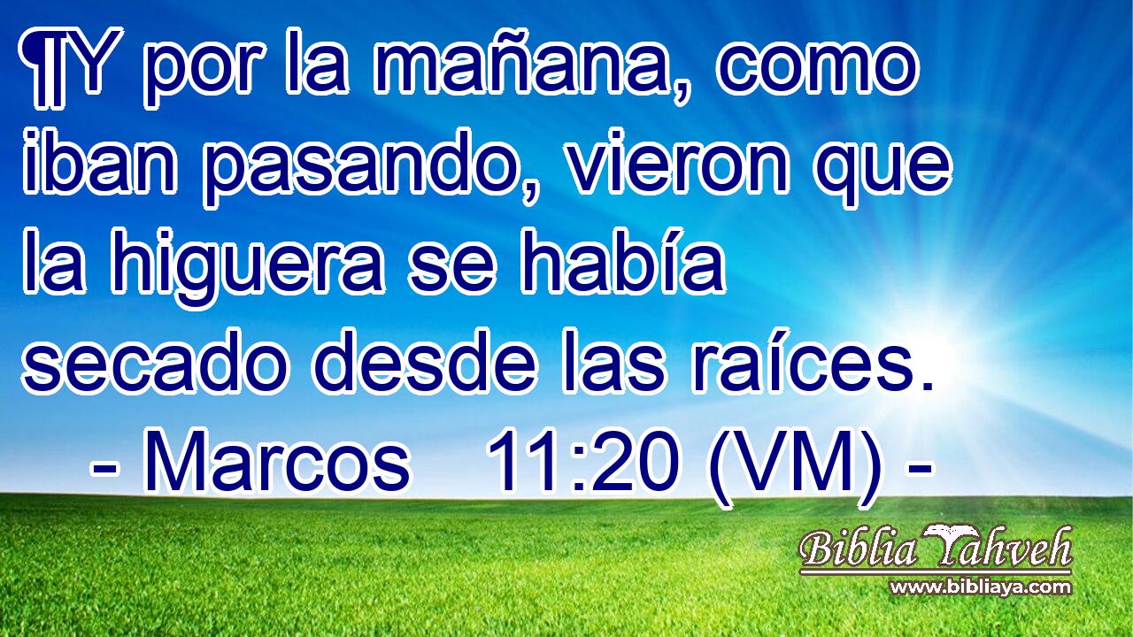  ¶Y por la mañana, como iban pasando, vieron que la higuera se había secado desde las raíces. 