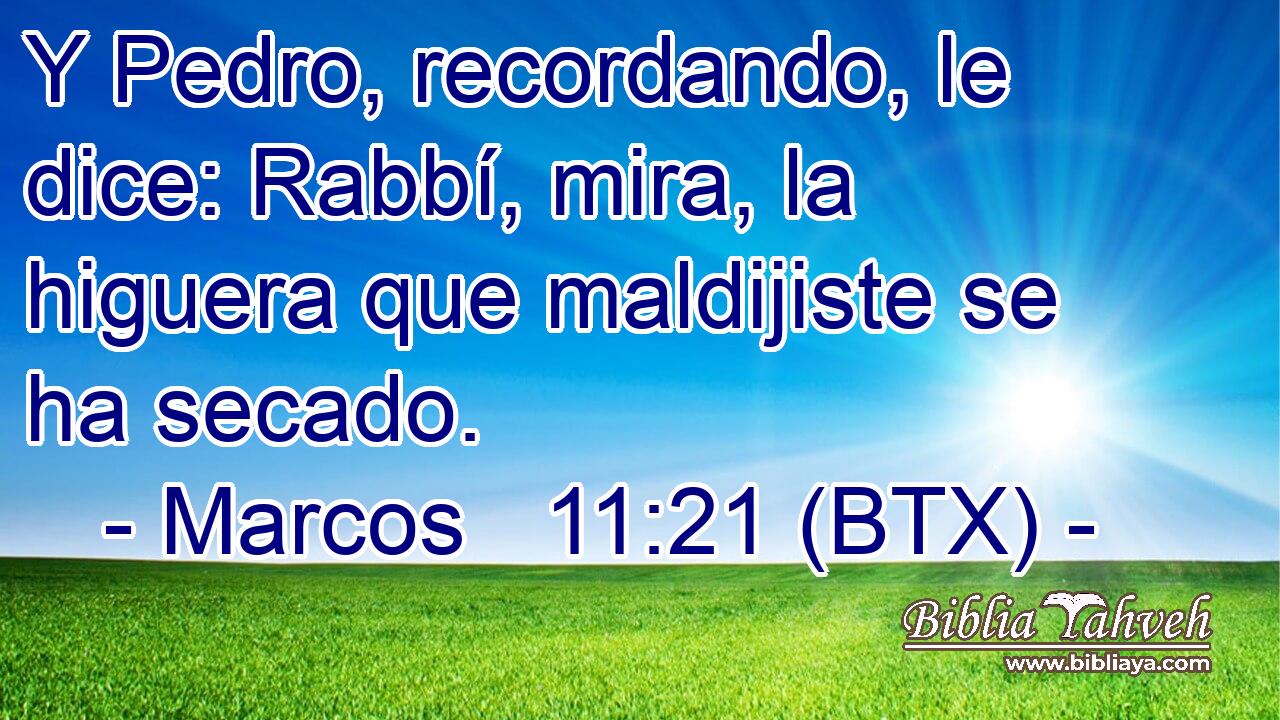 Y Pedro, recordando, le dice: Rabbí, mira, la higuera que maldijiste se ha secado.